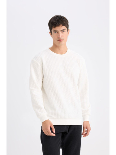 DEFACTO Regular Fit Crew Neck Jacquard Sweatshirt