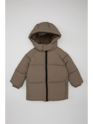 DEFACTO Baby Boy Hooded Waterproof Puffer Jacket