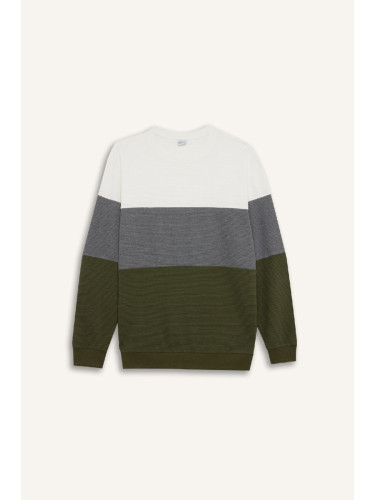 DEFACTO Regular Fit Crew Neck Color Block Jacquard Sweatshirt