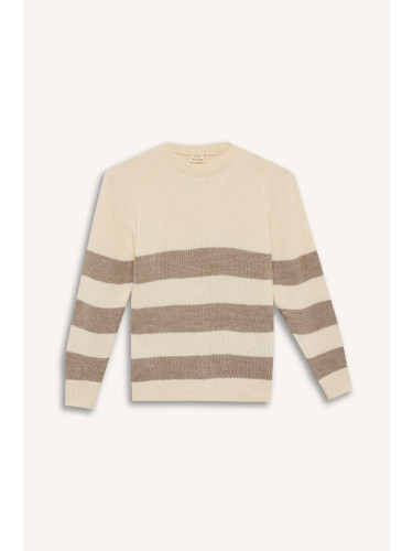 DEFACTO Boy Regular Fit Crew Neck Striped Knitwear Sweater