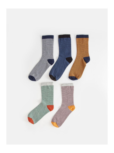 LC Waikiki 5-Piece Striped Boy's Crew Neck Socks