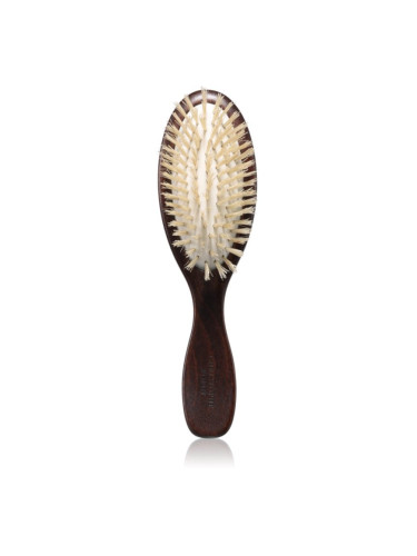 Christophe Robin Travel Hairbrush дървена четка за коса с косми от глиган 1 бр.