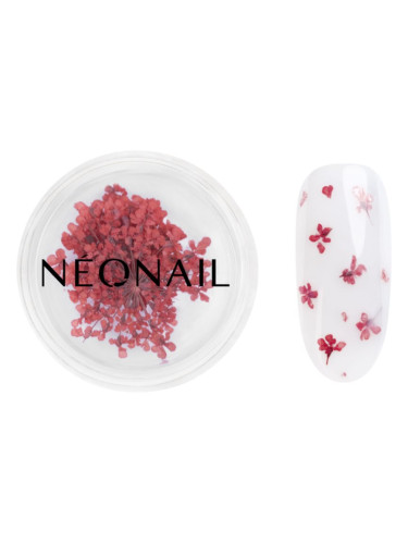 NEONAIL Dried Flowers сушен цвят за нокти цвят 08 Red 1 бр.