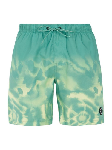 Men's beach shorts Protest PRTAGOR