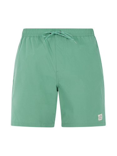 Men's beach shorts Protest PRTBAKY