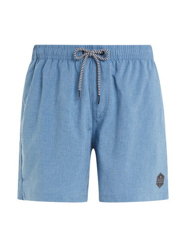 Men's beach shorts Protest DAVEY