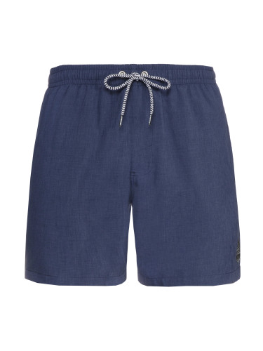 Men's beach shorts Protest DAVEY