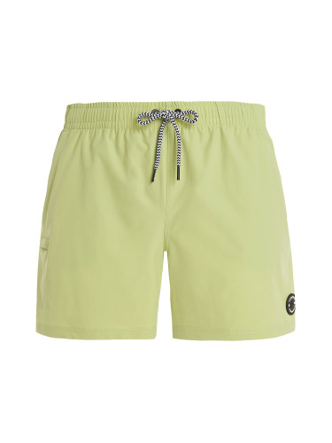 Men's beach shorts Protest PRTYESSINE