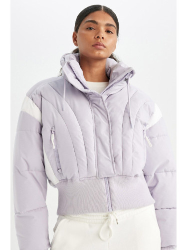 DEFACTO Fit Warm Jacket Water Repellent Windproof Puffer Crop Hidden Hooded Zippered Pocket