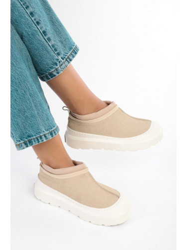 Shoeberry Women's Arlo Beige Suede Boots