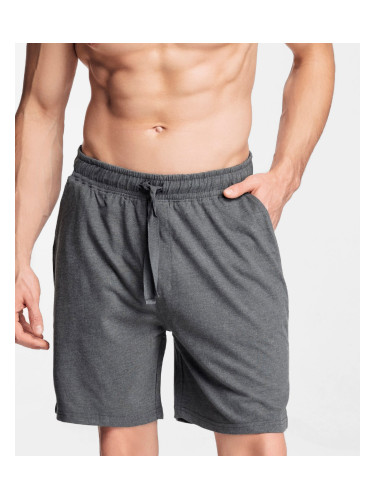 Men's shorts ATLANTIC - light gray