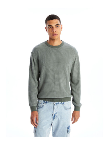 LC Waikiki LCW Crew Neck Long Sleeve Men's Knitwear Sweater