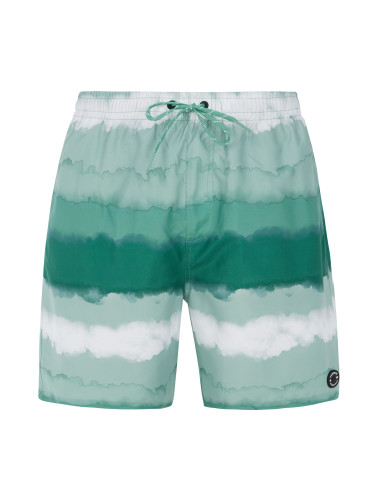 Men's beach shorts Protest PRTHAMSEY