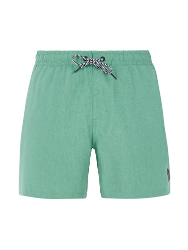 Men's beach shorts Protest DAVEY