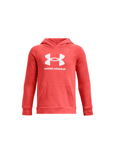 Boys' sweatshirt Under Armour Rival Fleece BL Hoodie