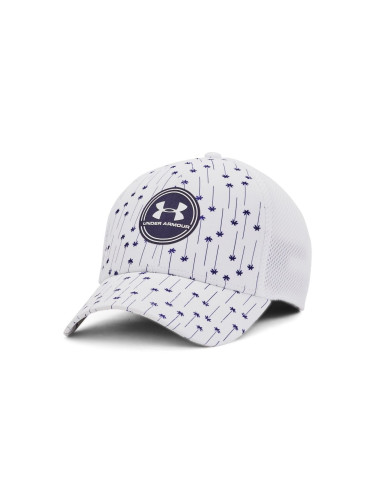 Men's cap Under Armour Iso-chill Driver Mesh