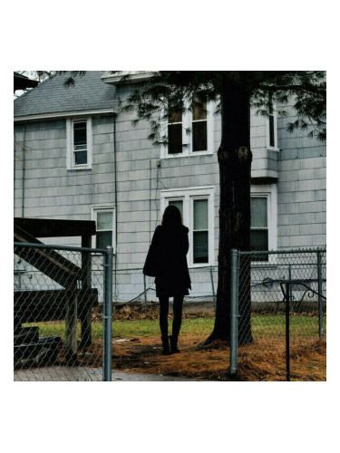 The Tallest Man On Earth - Dark Bird Is Home (LP)