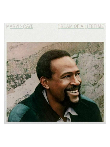 Marvin Gaye - Dream of a Lifetime (Trans Blue Vinyl) (180g) (LP)