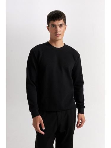 DEFACTO Regular Fit Crew Neck Jacquard Sweatshirt D5394AX24AU