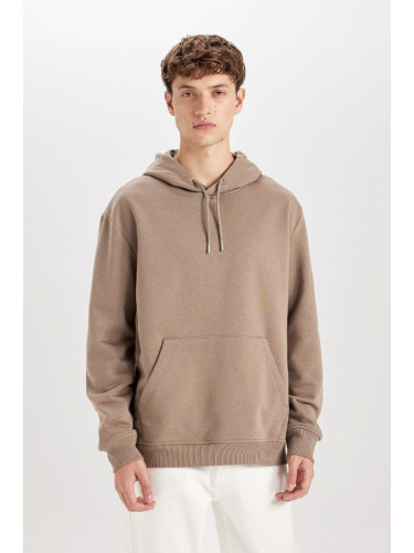 DEFACTO Regular Fit Hooded Basic Sweatshirt