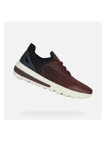 Burgundy men's sneakers Geox Spherica Actif - Men's