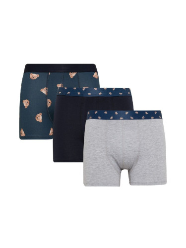 DEFACTO Animal Printed 3-Pack Boxer