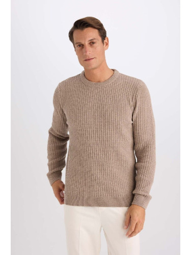 DEFACTO Men's Beige Standard Fit Crew Neck Textured Knitwear Sweater