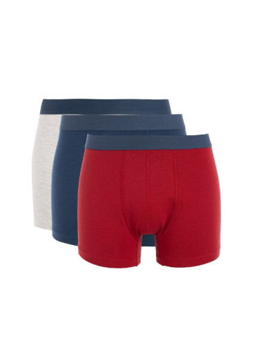 DEFACTO 3-Pack Boxer