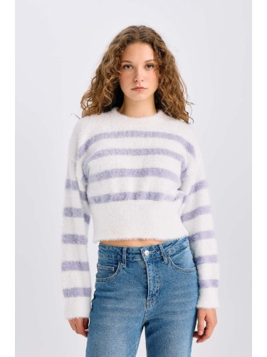 DEFACTO Regular Fit Striped Crew Neck Knitwear Sweater