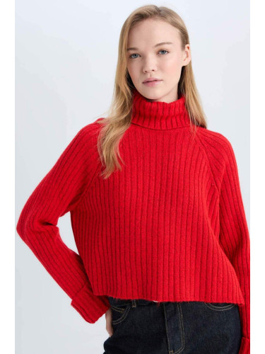 DEFACTO Dfc - Oversize Fit Wide Fit Turtleneck Knitwear Sweater