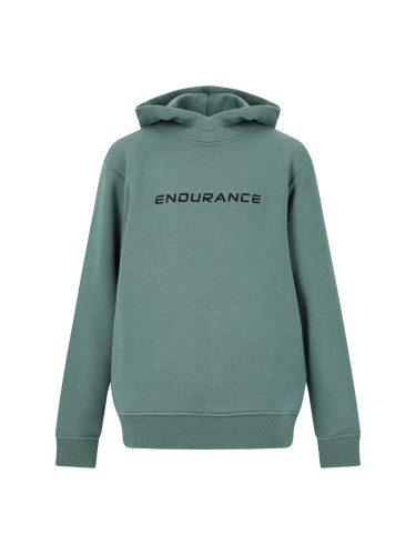 Children's sweatshirt Endurance Glakrum Jr. Hoody