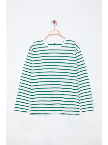 Trendyol Curve Green Crew Neck Striped Knitted Sweatshirt