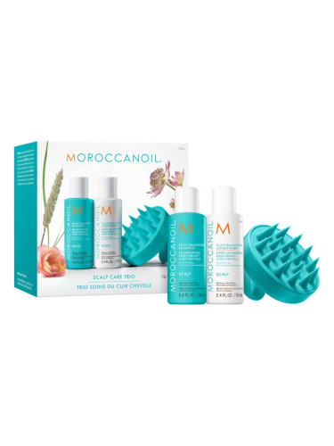 Moroccanoil Scalp Discovery Set комплект за мазна кожа на скалпа против пърхот