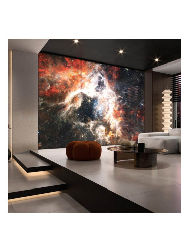 Декоративен панел Tarantula nebula