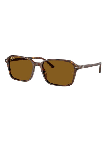 RAY-BAN RB2231 - 141833