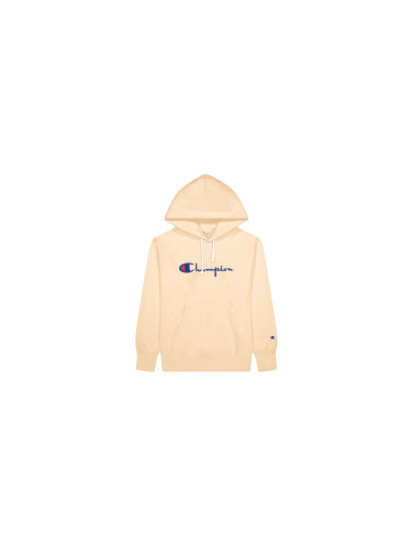 Champion Reverse Weave script Logo Hoodie