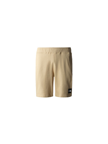 The North Face M Summer Logo Shorts