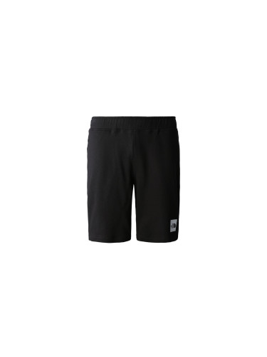 The North Face M Summer Logo Shorts