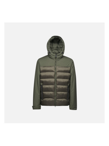 Grey men's jacket Geox Sapienza - Men's