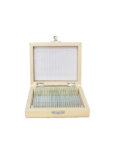 Gelsonlab Микроскопски препарати, ботанически, 25 броя 6626020250