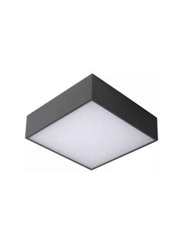 Lucide 27816/10/29 - LED Плафон за баня ROXANE LED/12W/230V IP54