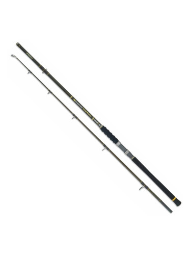 Mivardi Xtreme Catfish Въдица 2,4 m 200 - 600 g 2 части