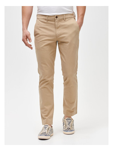 GAP Pants Slim Fit - Men