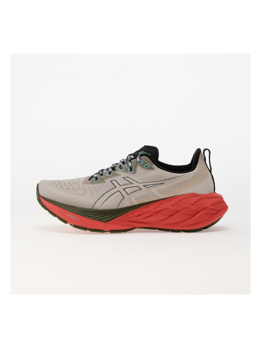 Сникърси Asics Novablast 4 Tr Nature Bathing/ Red Snapper EUR 46