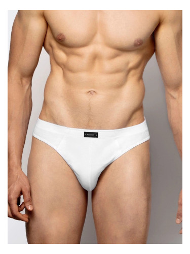 Briefs Atlantic 3BMP-322 A'3 S-2XL white-gray-graphite 090