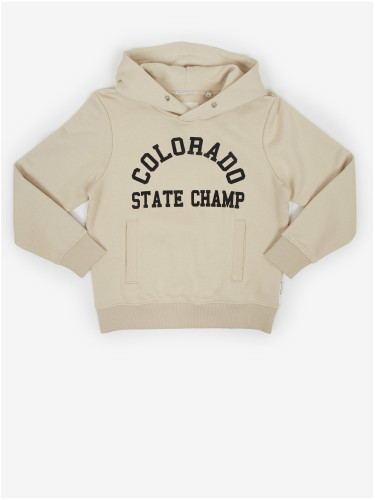 Beige boys' hoodie Tom Tailor - Boys