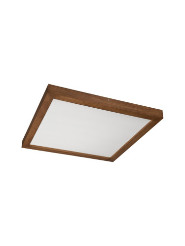 Brilagi-LED Димируема лампа WOODY FRAME LED/50W/230V дъб 60x60 см IP44 + д.у.