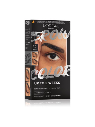 L’Oréal Paris Brow Color цвят за вежди цвят 1.0 Black 1 бр.