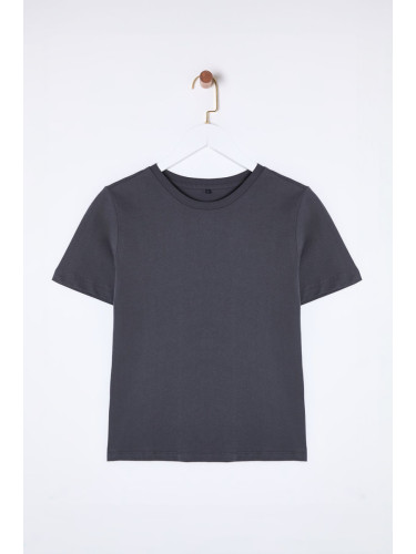 Trendyol Anthracite 100% Cotton Basic Crew Neck Knitted T-Shirt