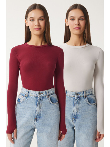 Happiness İstanbul Women's Burgundy Stone 2 Pack Crew Neck Basic Knitted Blouse